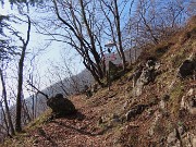 14 Prendiamo a dx sentiero per Croce di Bracca e incrocio sent. 597 (2)